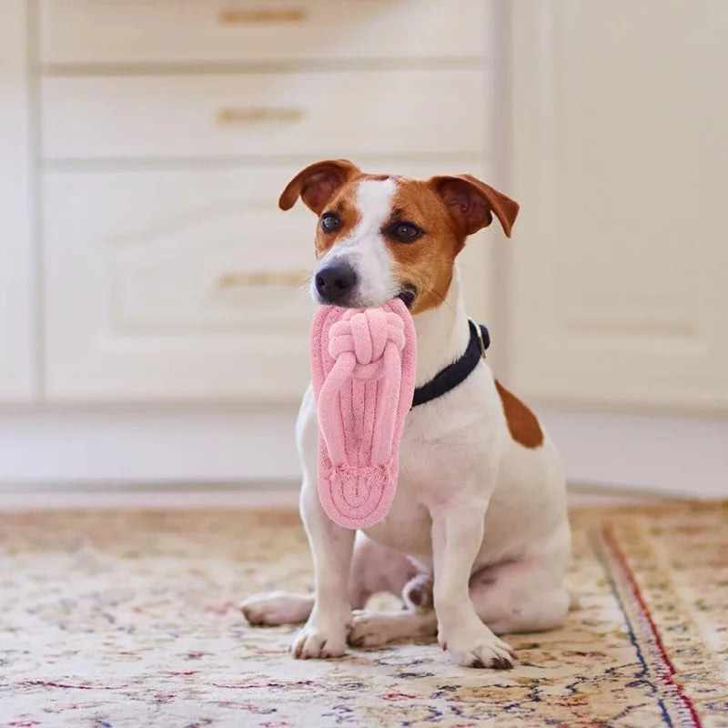 Flip-Flop Rope Chew Toy