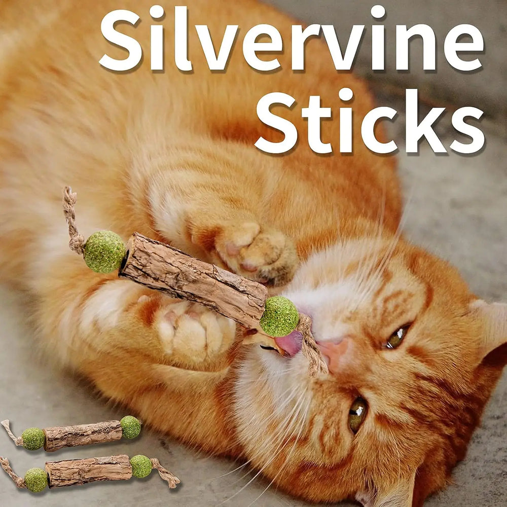 Silvervine & Catnip Sticks for cats, 3-pack