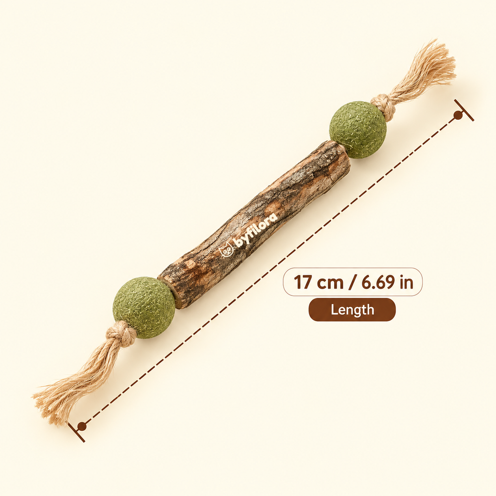 Twigbell Silvervine & Catnip Sticks (3-Pack)