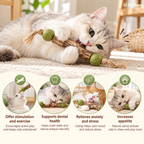 Twigbell Silvervine & Catnip Sticks (3-Pack)