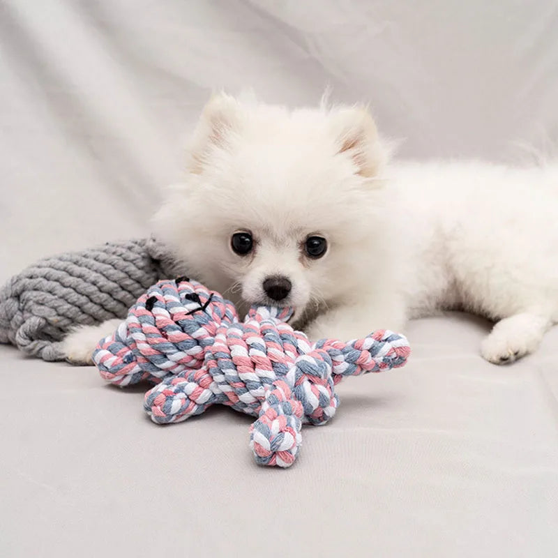Rope Animal Friends Dog Toy