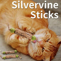 Silvervine & Catnip Sticks for cats, 3-pack