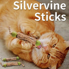 Silvervine & Catnip Sticks for cats, 3-pack