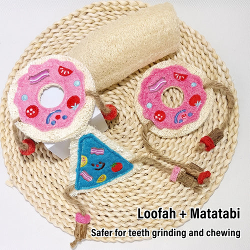 Donut & Pizza Loofah Cat Chew Toy