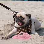 Flip-Flop Rope Chew Toy