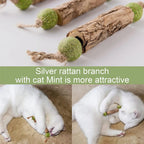 Silvervine & Catnip Sticks for cats, 3-pack