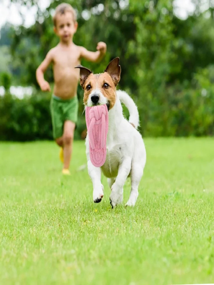 Flip-Flop Rope Chew Toy