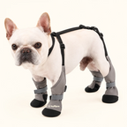 Snowstride Suspender Dog Boots