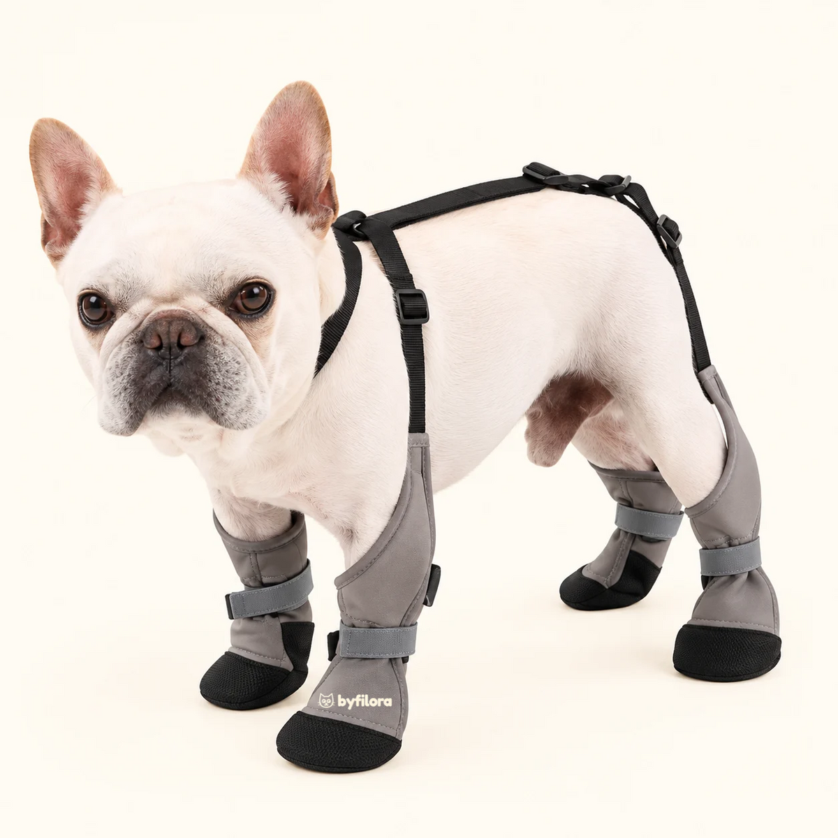 Snowstride Suspender Dog Boots