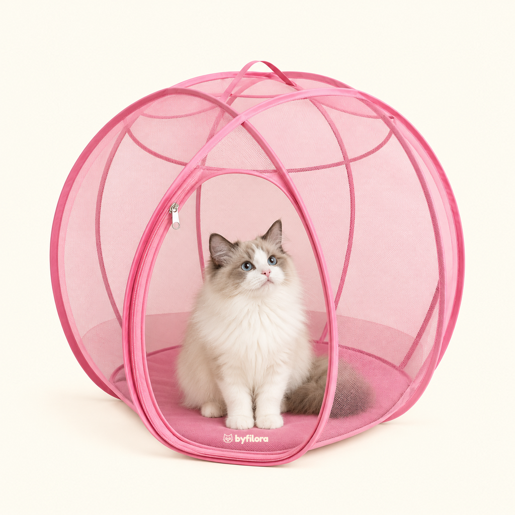 Bubblenook Pop-Up Cat Play Sphere