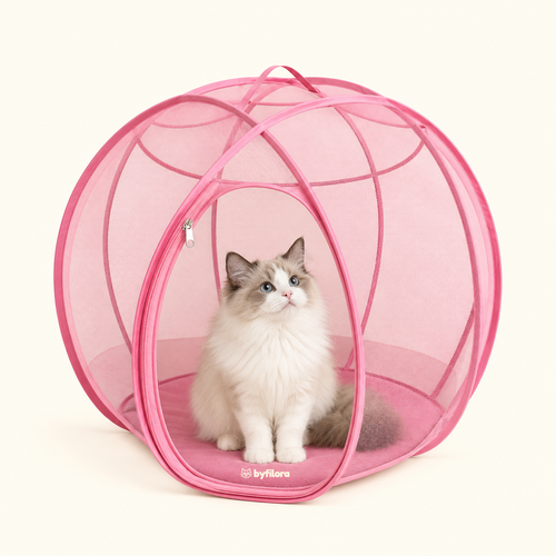 Bubblenook Pop-Up Cat Play Sphere