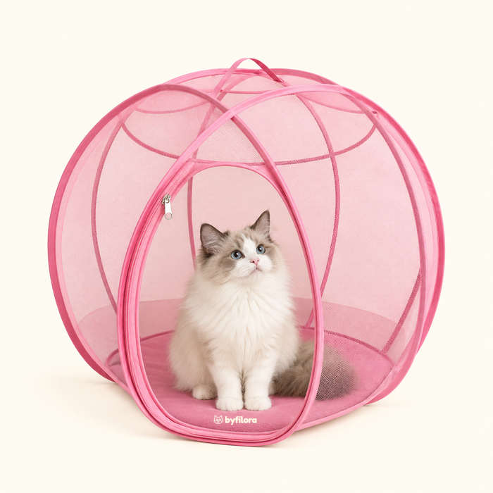 Bubblenook Pop-Up Cat Play Sphere, Indoor & Outdoor Mesh Tent